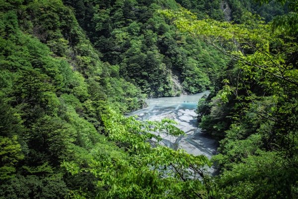 绿源环保公益短剧《地球守护者》 绿源环保公益短剧《地球守护者》 - 短剧软件客户案例展示